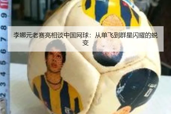 李娜元老赛亮相谈中国网球：从单飞到群星闪耀的蜕变
